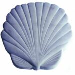Nantucket Pavers Scallop Shell Natural